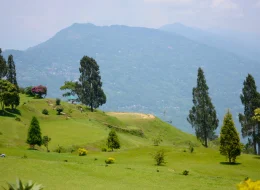 List Hotels, Lodges & Guest Houses Across India on PuneAssociate.in