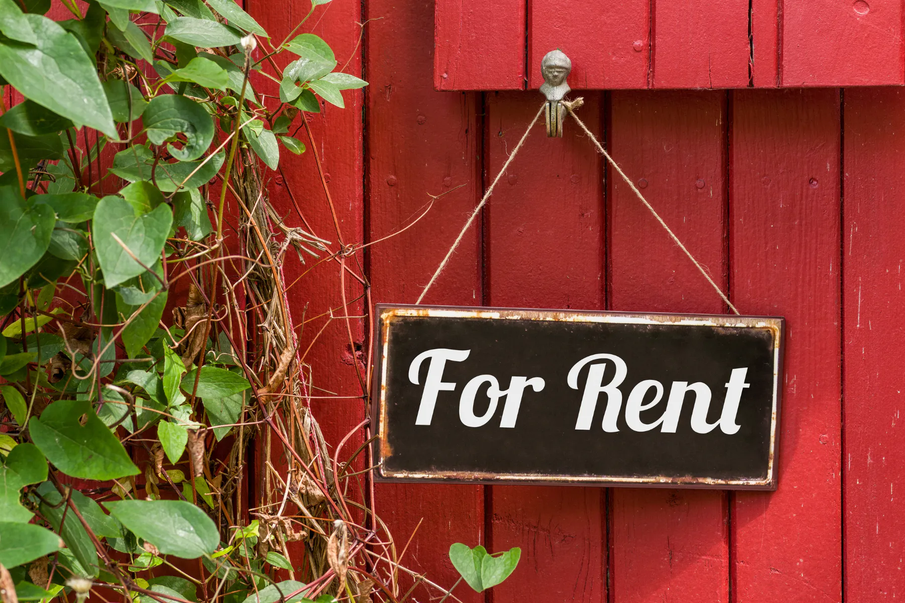 Finding Rentals Rental Search