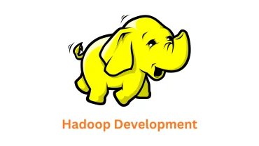 Associative: Your Premier Hadoop Development Company in Pune, India