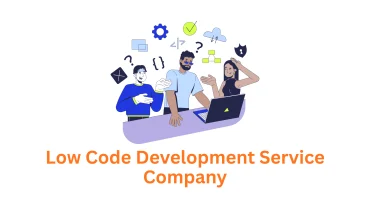 Professional Low-Code Development Service by Associative